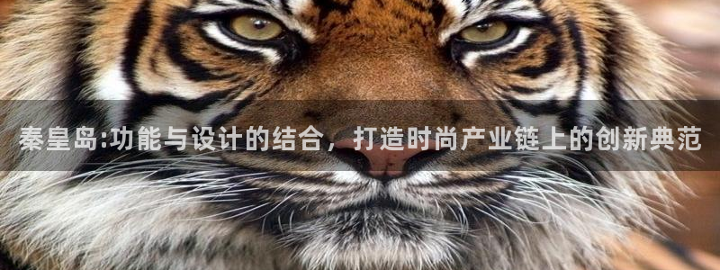 摩登7右7O667