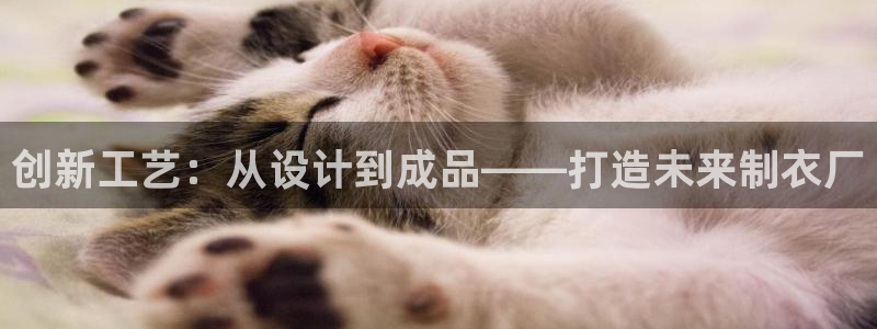 摩登7日3299O7