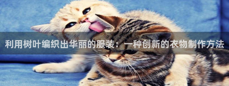 摩登7级