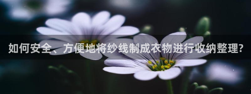 摩登招商7约22650