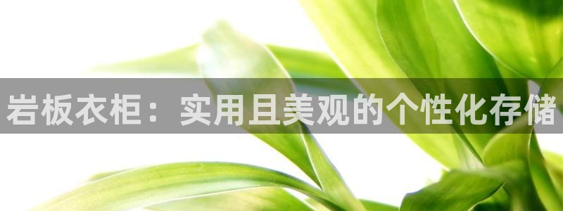 摩登4右7O667