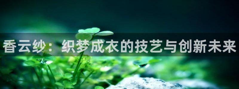 摩登7官网的详细介绍