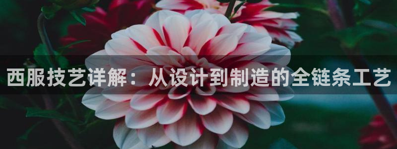 摩登6褚7O667