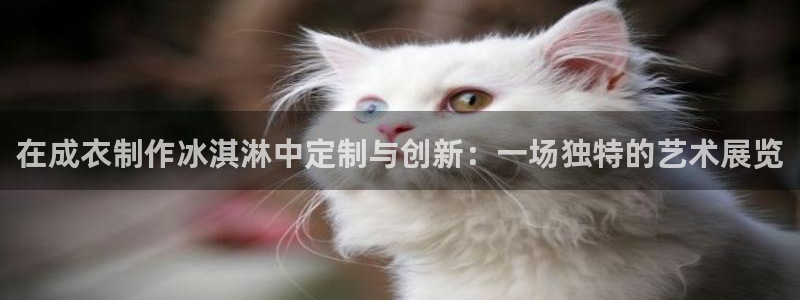 摩登7游戏
