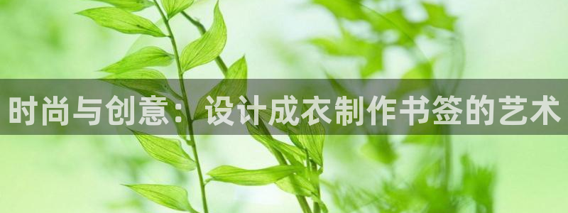 摩登5右7O667