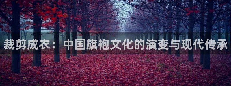 摩登5月7O667