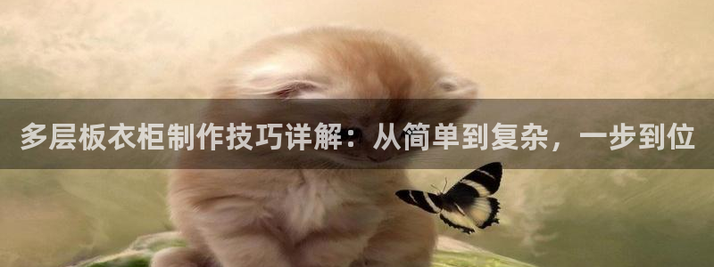 摩登7股东