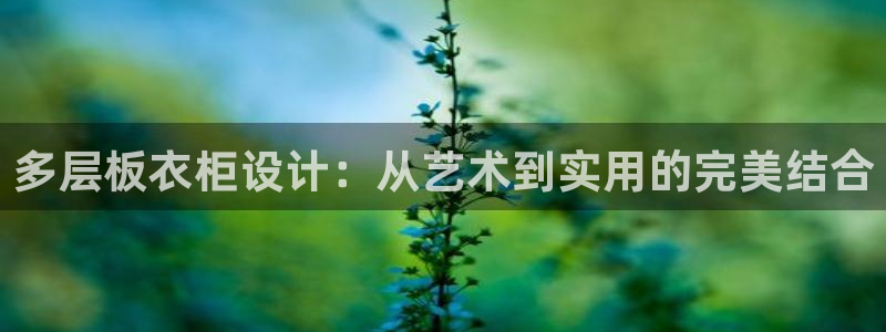 摩登招商臼金手指专业7