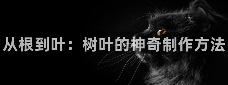 摩登7注册车333OO