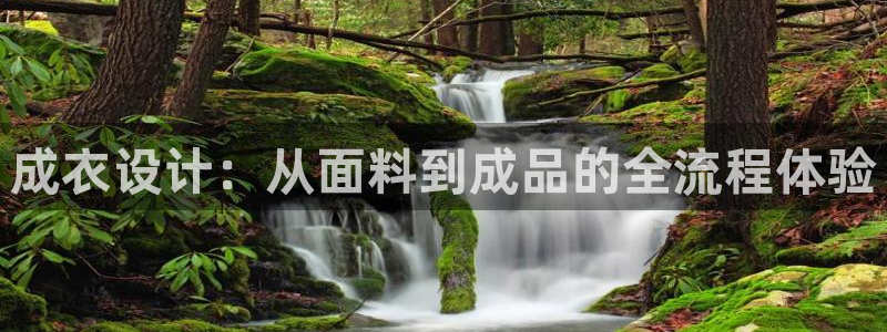 摩登7网站排名