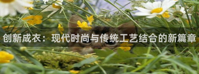 摩登7软件是什么原因