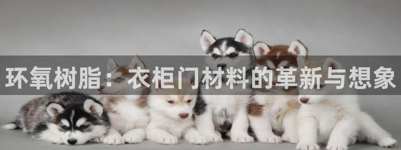 国际版摩登世界7