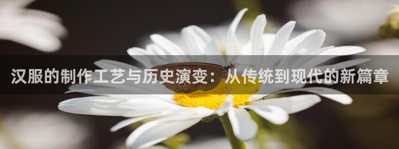 摩登7升