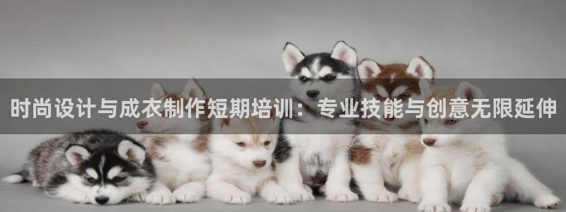 摩登7登录释333OO