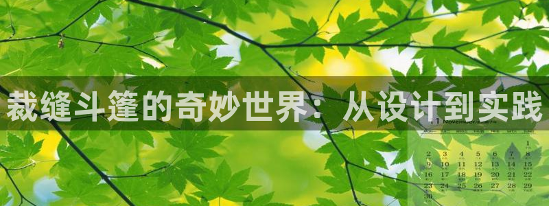 摩登7招商