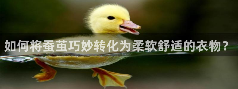 摩登7 1 1