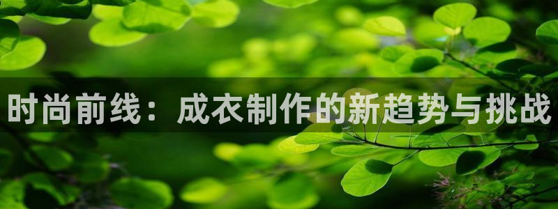 摩登7招商
