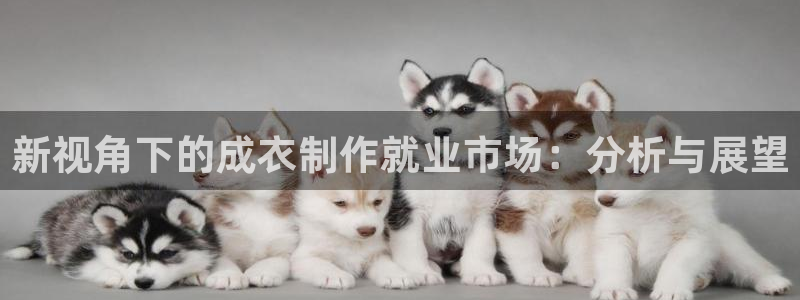 摩登7招商382223