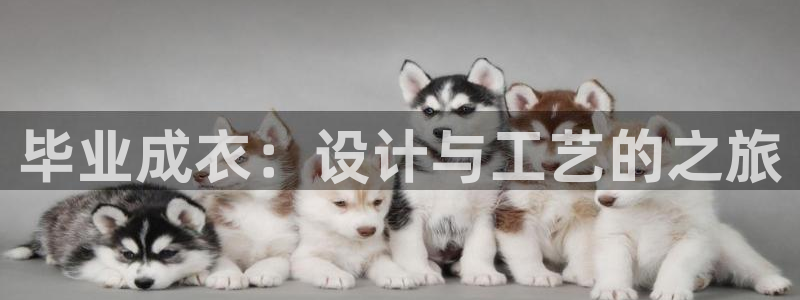 摩登7黑钱