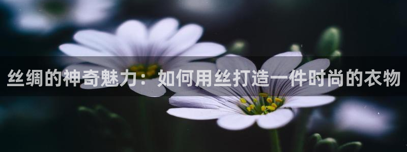 摩登7会员登录入口