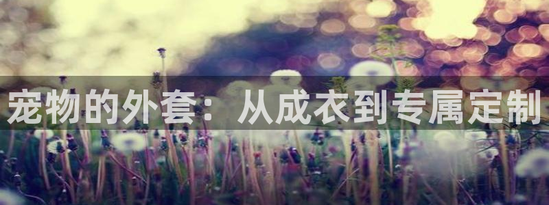 摩登7怎么登录不了了