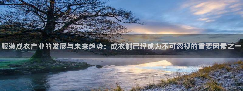摩登7高管