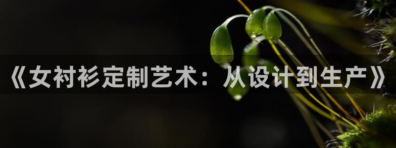 摩登7平台主管