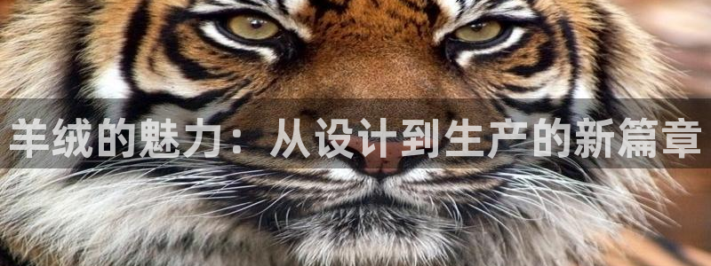 摩登5左7O667