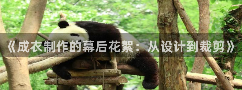 摩登7代理
