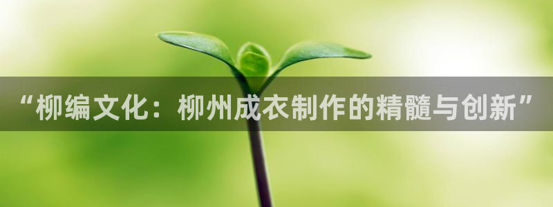 摩登7平台周7O777