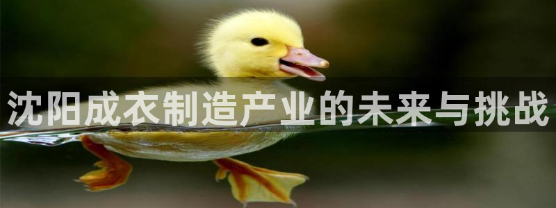 摩登3周7O667