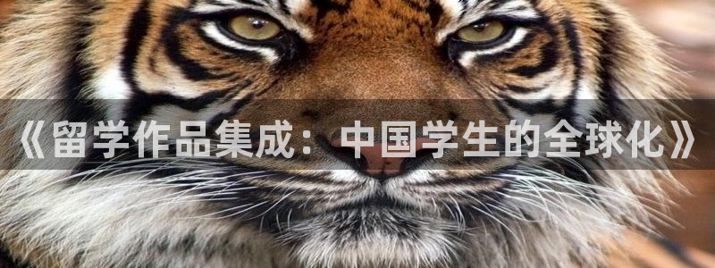 摩登7登录摇333OO