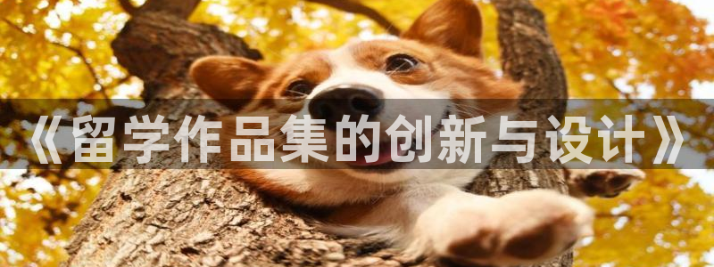 摩登18 7