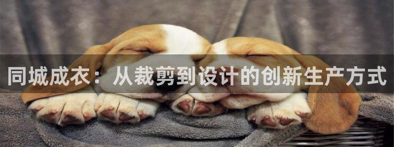 摩登7在线注册加v