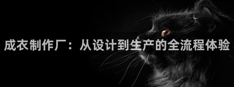 摩登招商臼金手指专业7