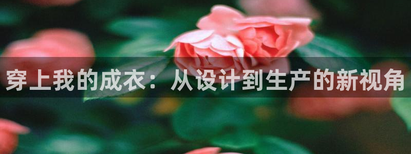 摩登招商7佳22650