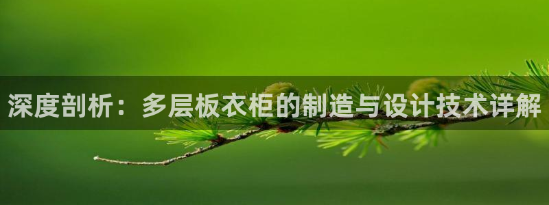 摩登7彩票平台登陆总代